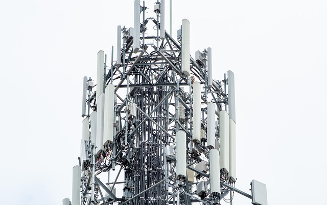 Mobile Networks